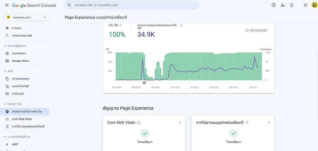 ข้อมูล Page Experience ใน Google Search Console