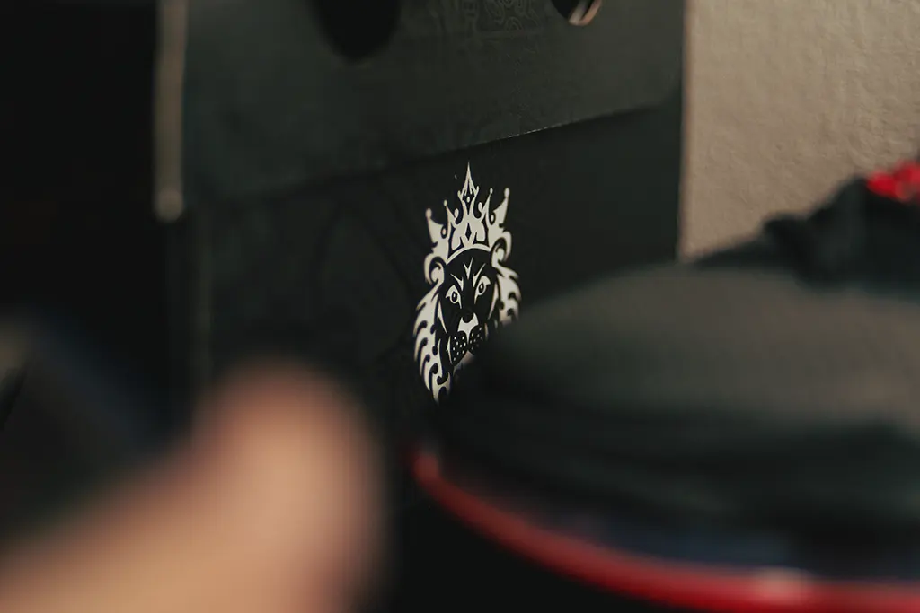 สัญลักษณ์รูปสิงห์ อีกสัญลักษณ์ประจำที่เห็นบ่อย ๆ ในรองเท้า LeBron