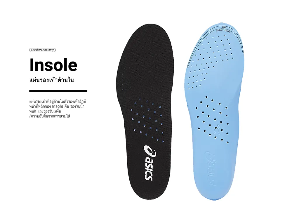 Insole : แผ่นรองเท้าด้านใน