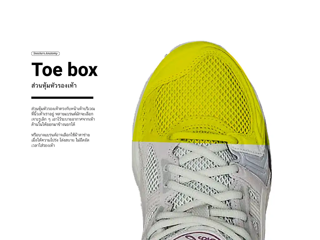 Toe box : ส่วนหุ้มหัวรองเท้า
