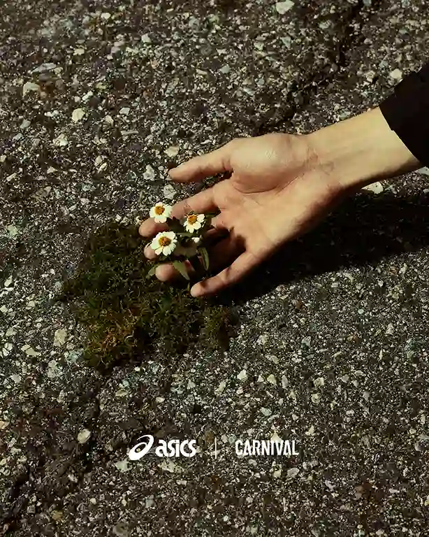 Concrete Bloom